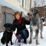 Dra. Randi I. Krontveit com cães estudados
