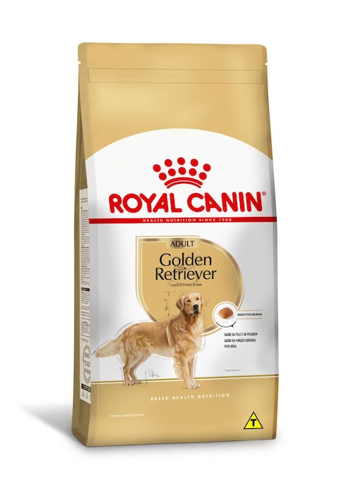 Melhor Ração para Golden Retriever em 2024: Escolhas de Especialista